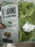 Lattughino