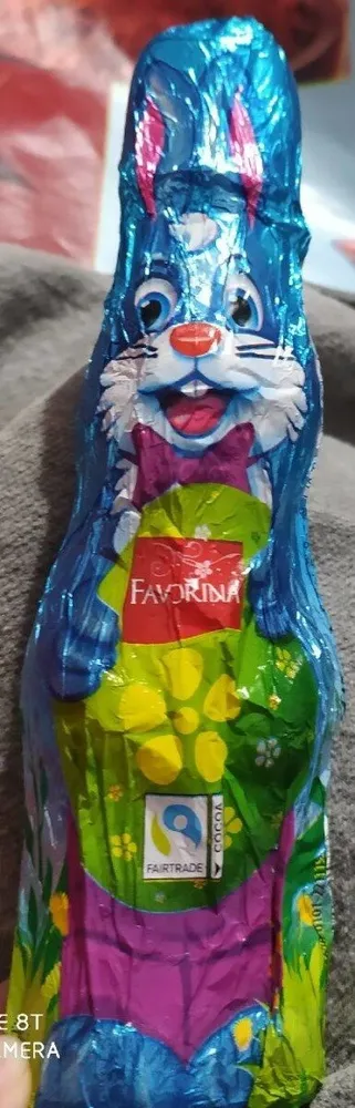 Chocolate Bunny