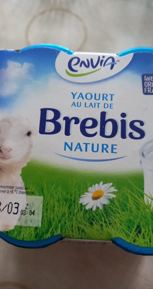 Yaourt au lait de brebis, nature