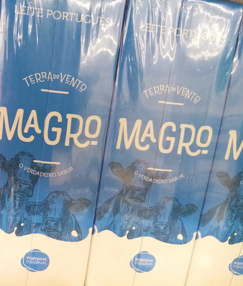 Magro