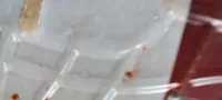 Schweinenacken-Speaks Paprika gewürzt