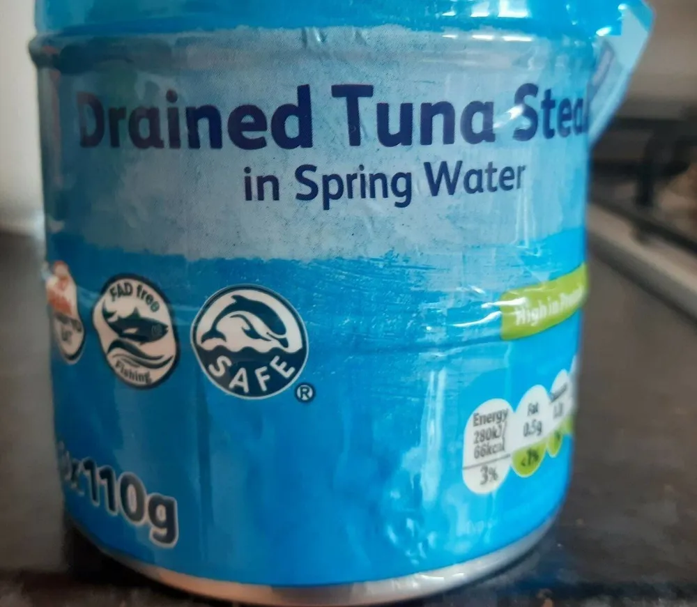 Drained Tuna Steak