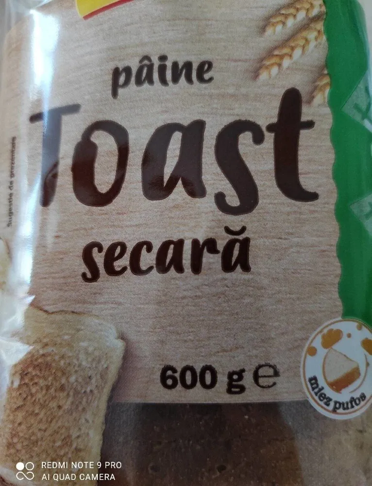 Paine Toast