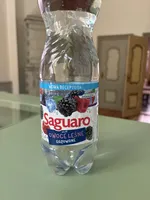 OWOCE LEŚNE GAZOWANE