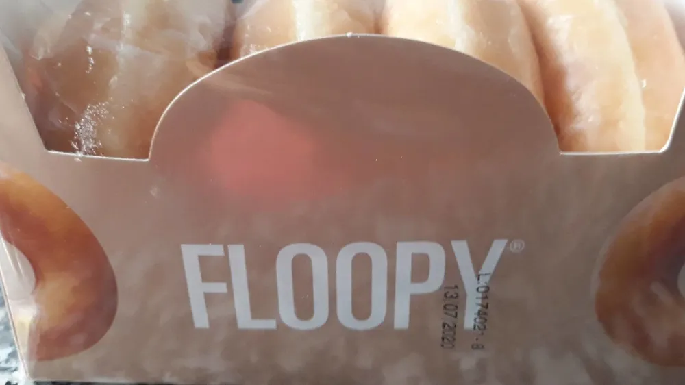 Donuts floopy