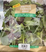 Brotes tiernos maxi