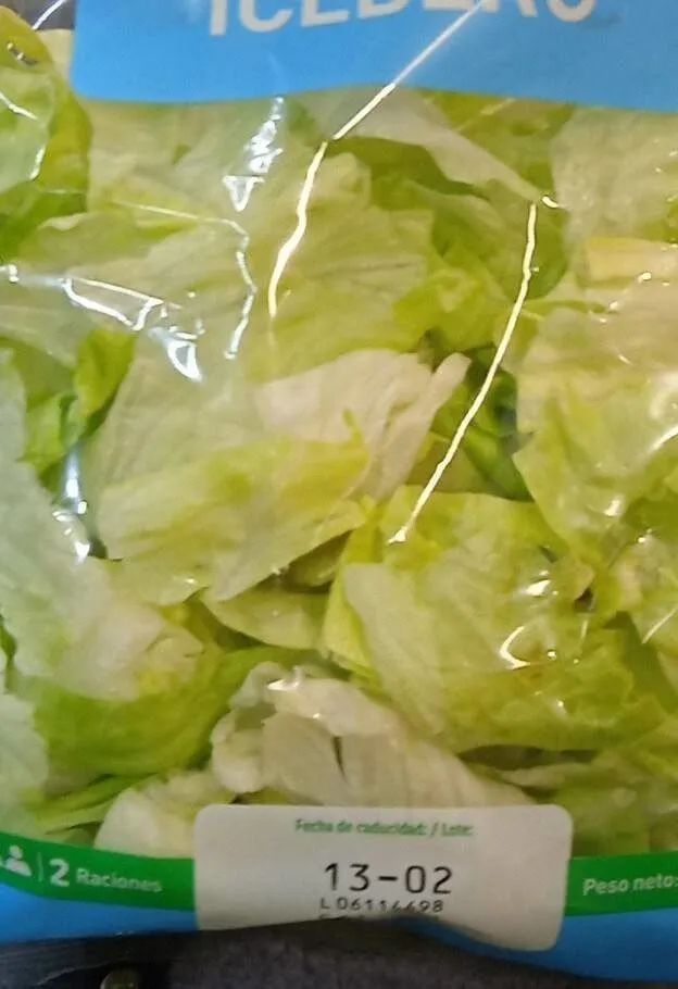 Iceberg