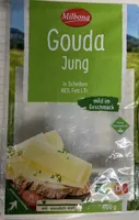 Gouda jung