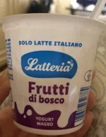 Yogurt Frutti di Bosco