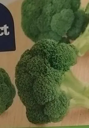 Broccoli