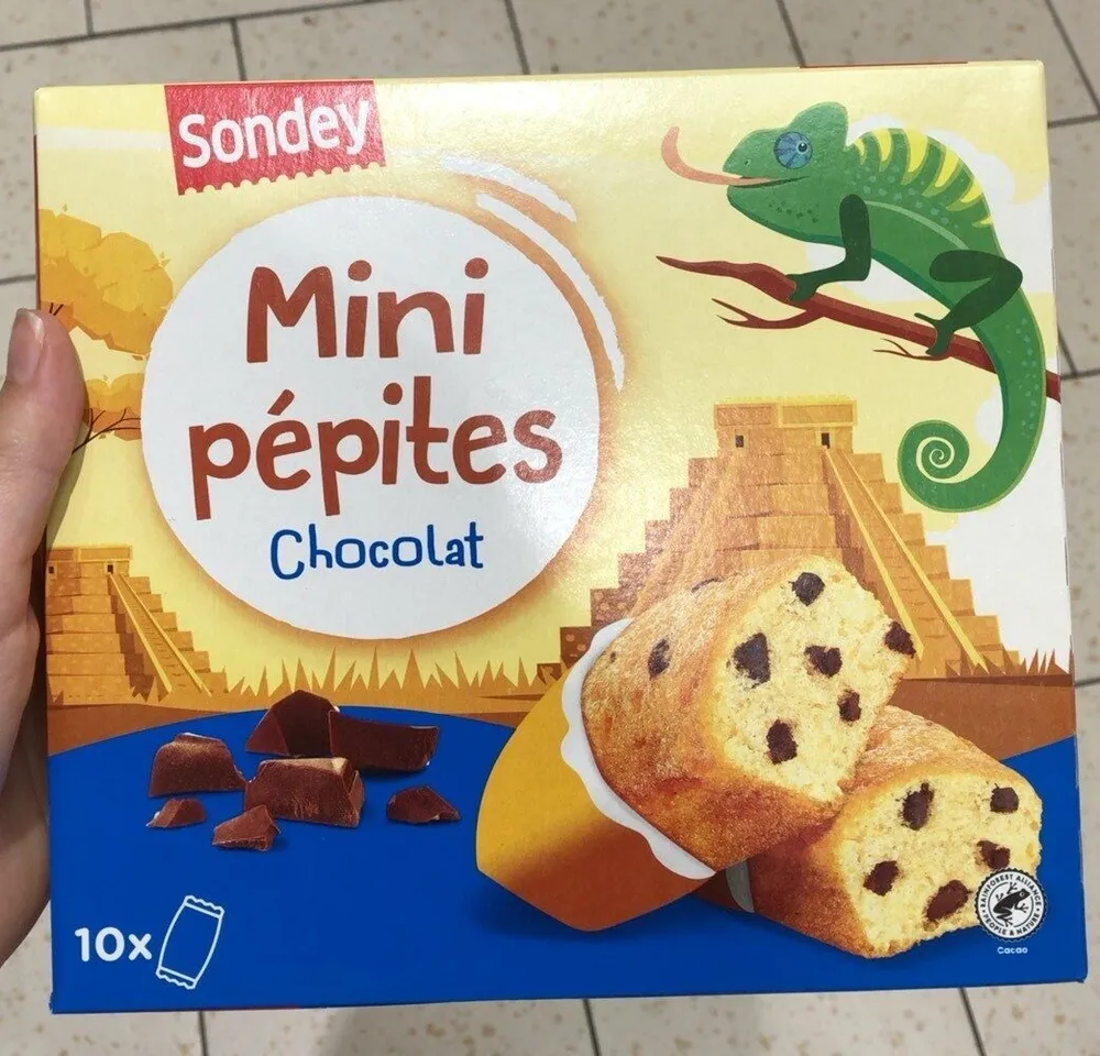 Mini gâteaux aux pépites de chocolat