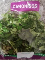 Canónigos