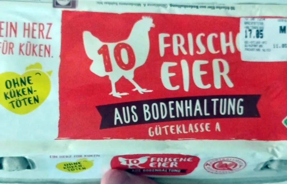 Frische Eier