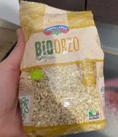 Orzo