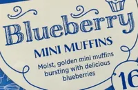 Blueberry Mini Muffins