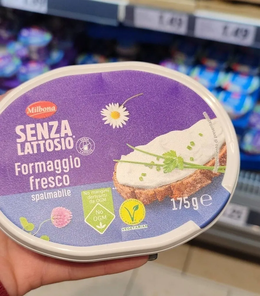 Formaggio fresco spalmabile