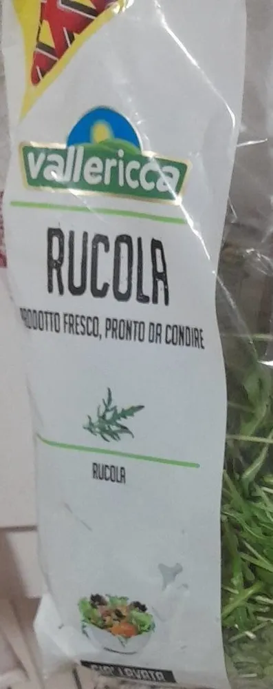 Rucola