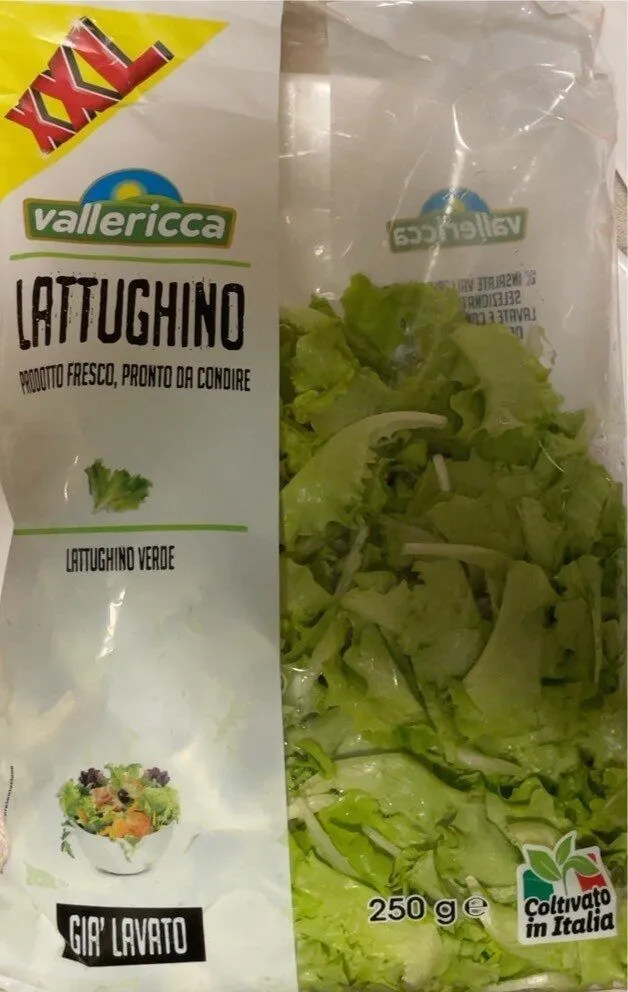 Lattughino