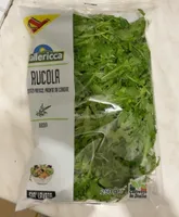 Rucola