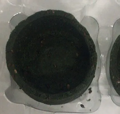 Tartaleta espirulina