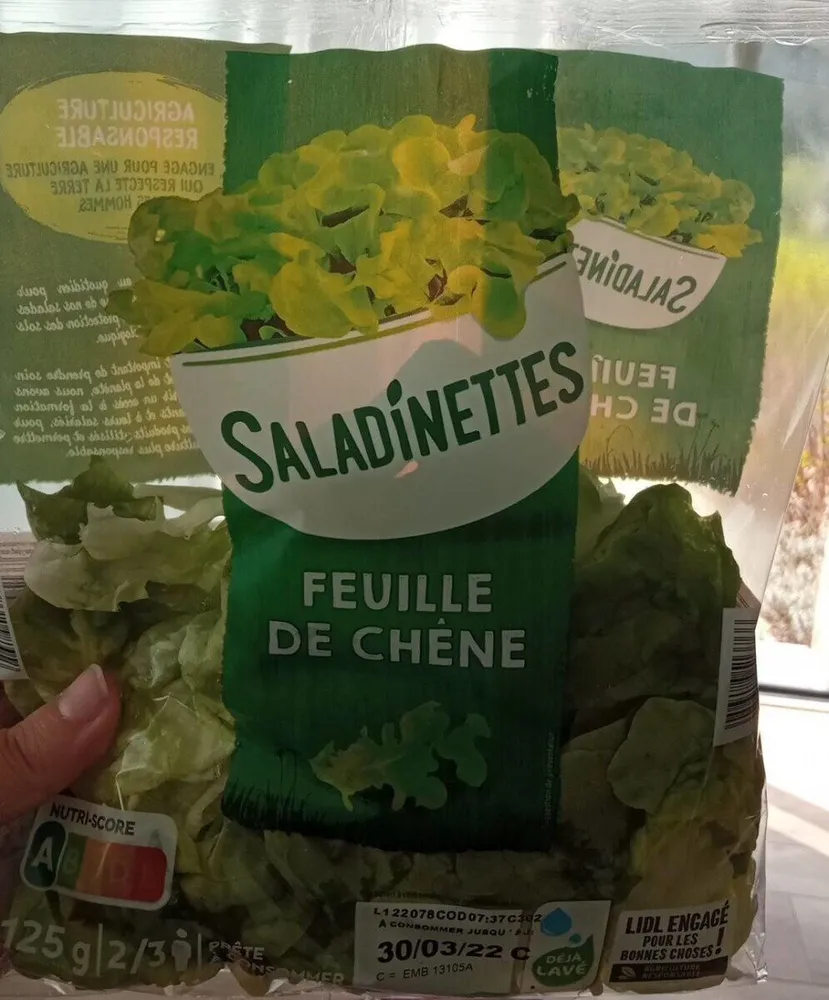 Feuilles de chêne
