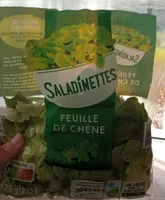 Feuilles de chêne