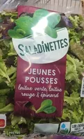 Jeunes pousses laitue verte laitue rouge et épinard
