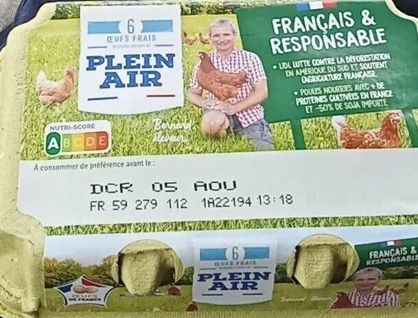 Oeufs plaine air
