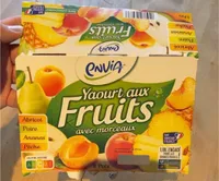 Yaourt aux fruits avec morceaux