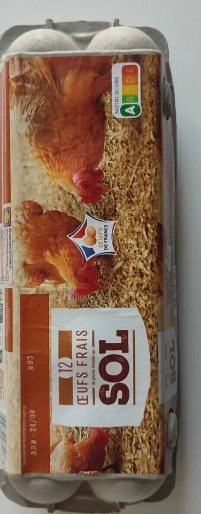 Oeufs de poules élevées au sol