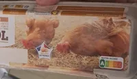 12 oeufs frais Poules élevées au sol