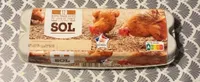 Oeufs frais datés du jour de ponte sol