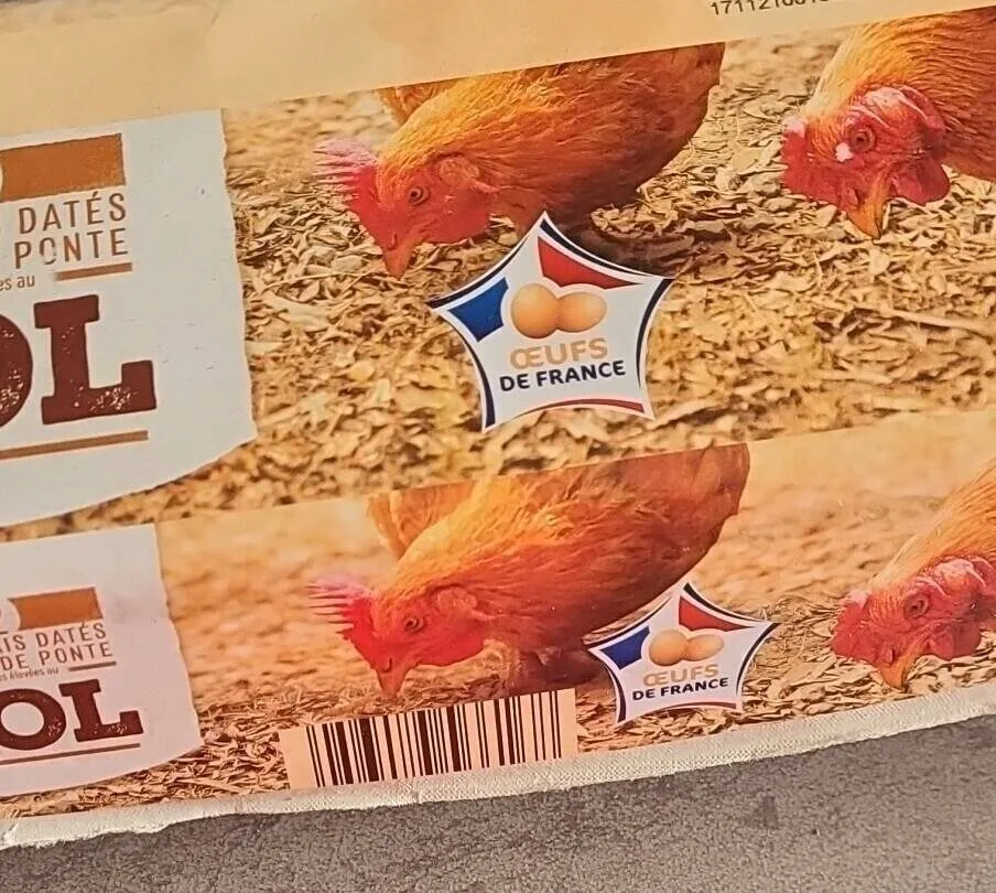 Oeufs frais SOL
