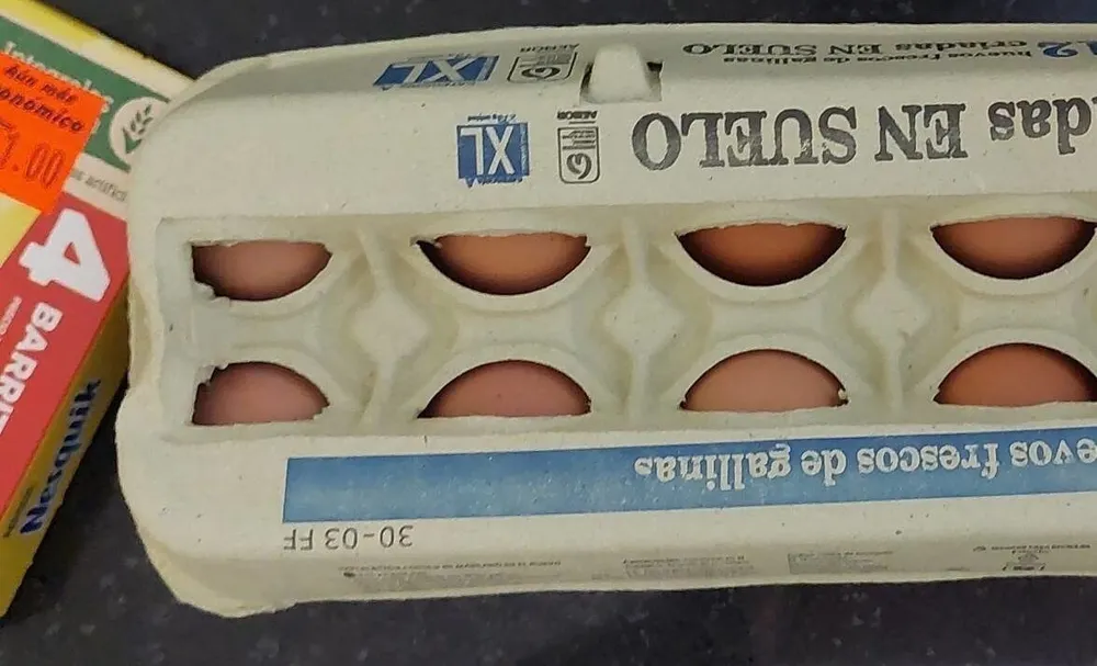 Huevos Criados en el suelo