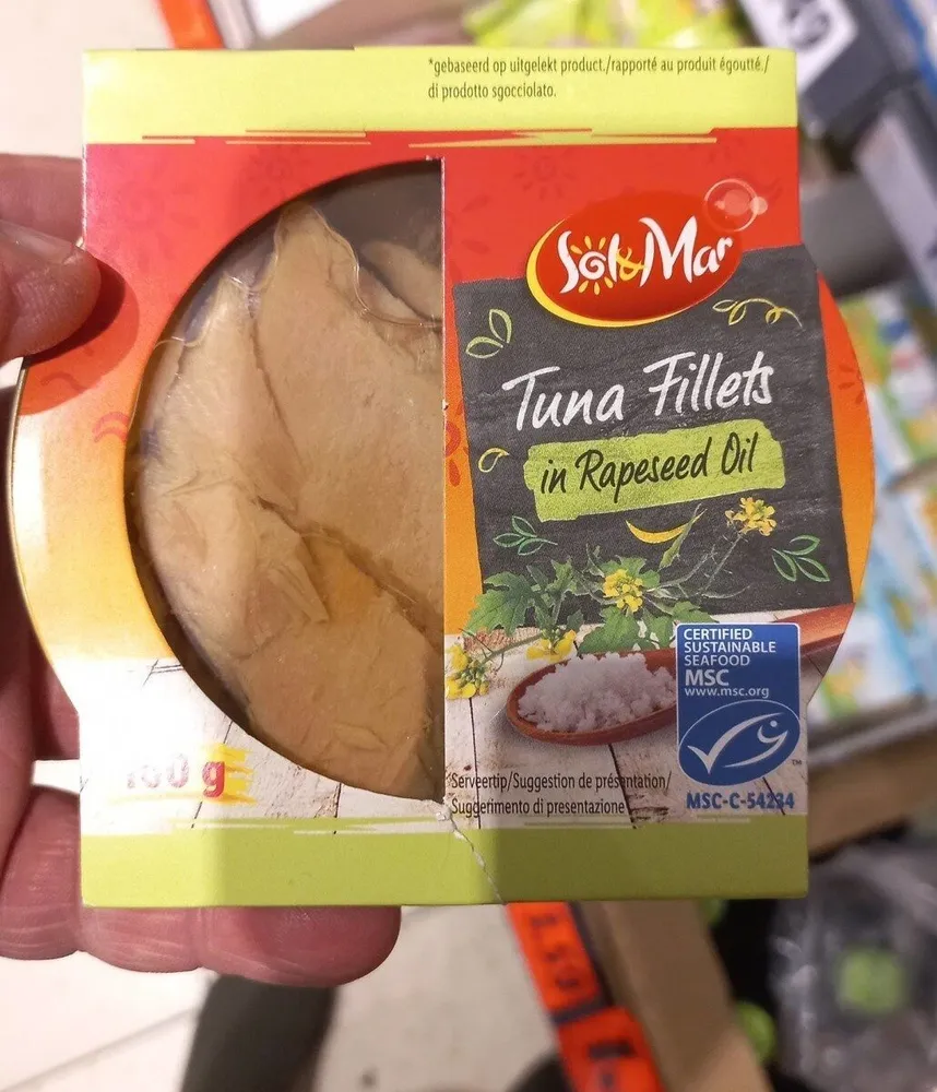 Tuna fillets