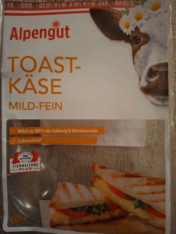 Toastkäse