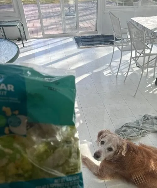 Caesar Salad Kit