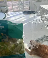 Caesar Salad Kit