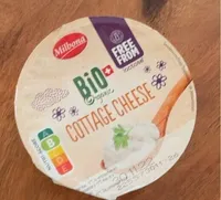 Bio organic cottage cheese free from lactose