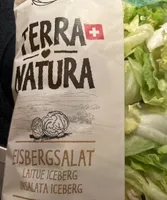Laitue iceberg