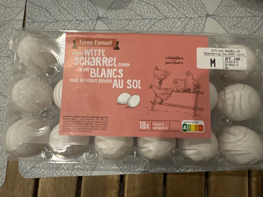 oeufs poule élevées au sol