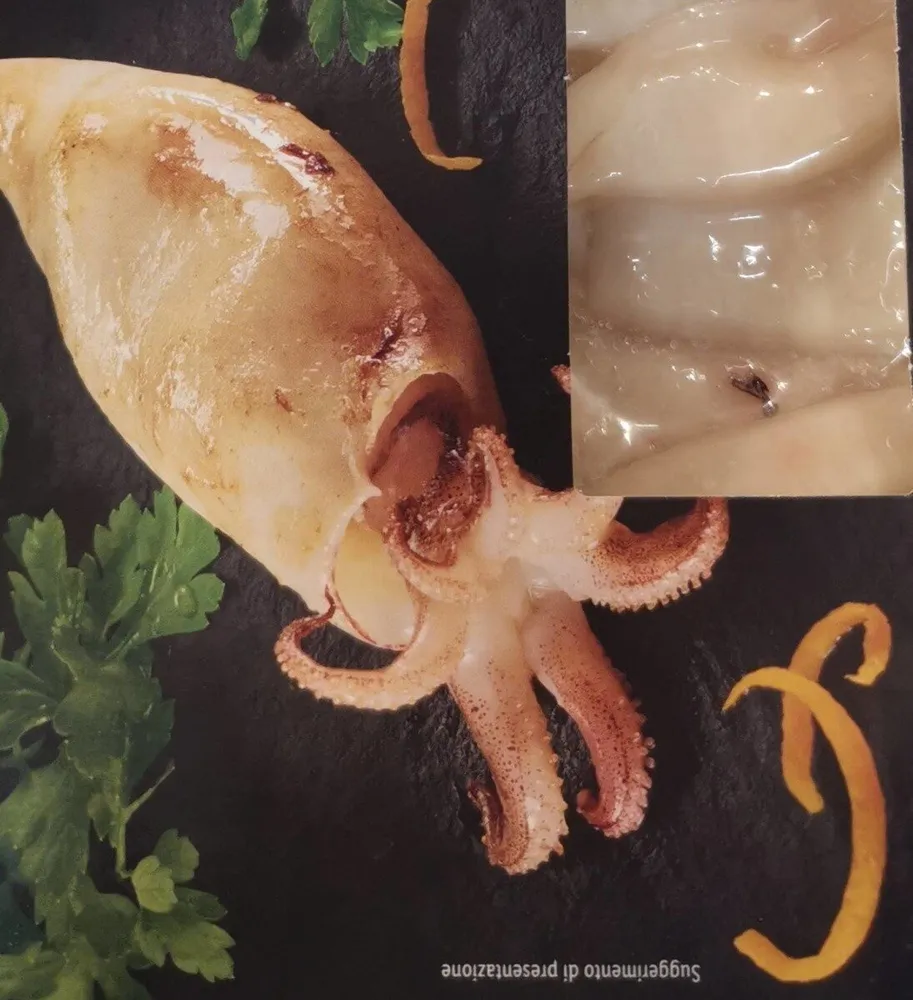 Calamari Patagonia