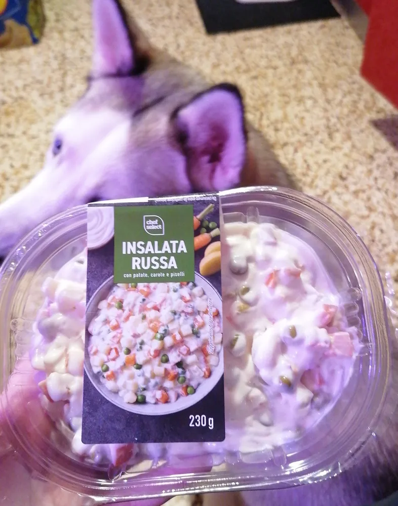 Insalata russa