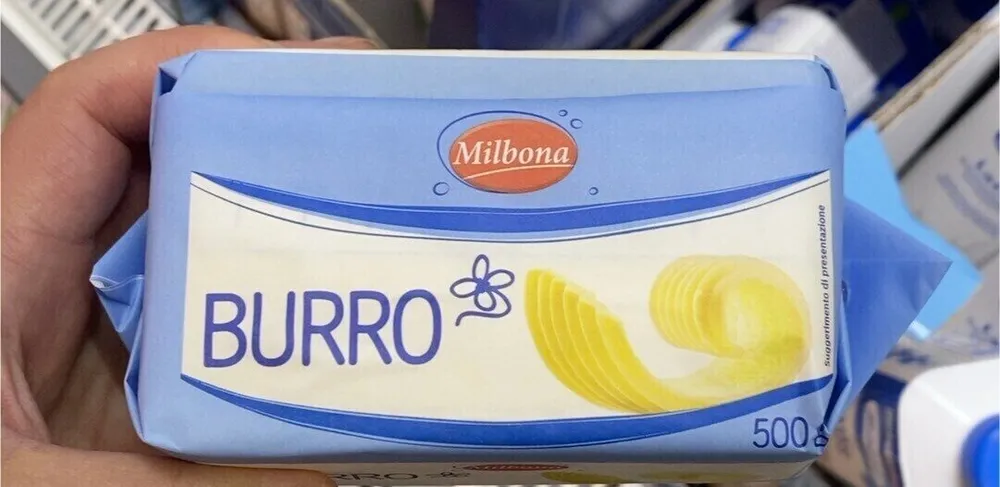 Burro