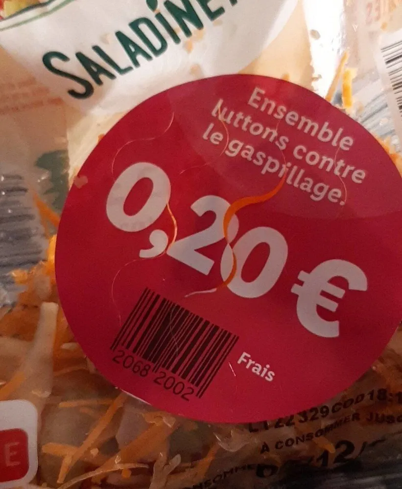 Saladinettes