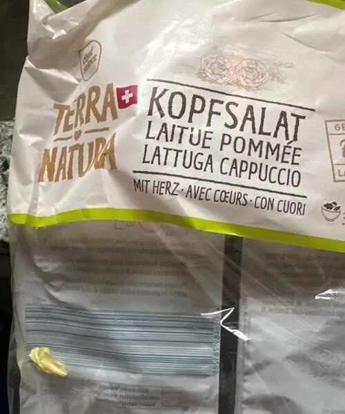 Kopfsalat Lidl