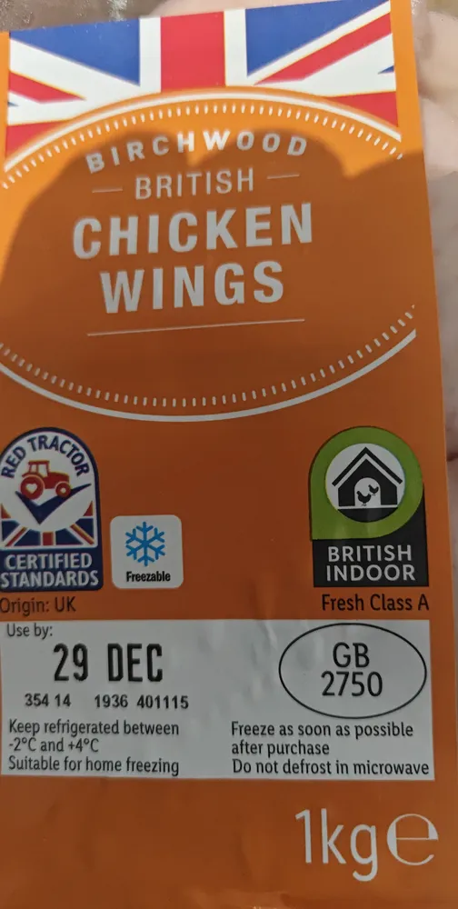 Dinosaur Wings