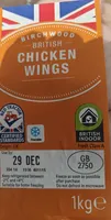 Dinosaur Wings