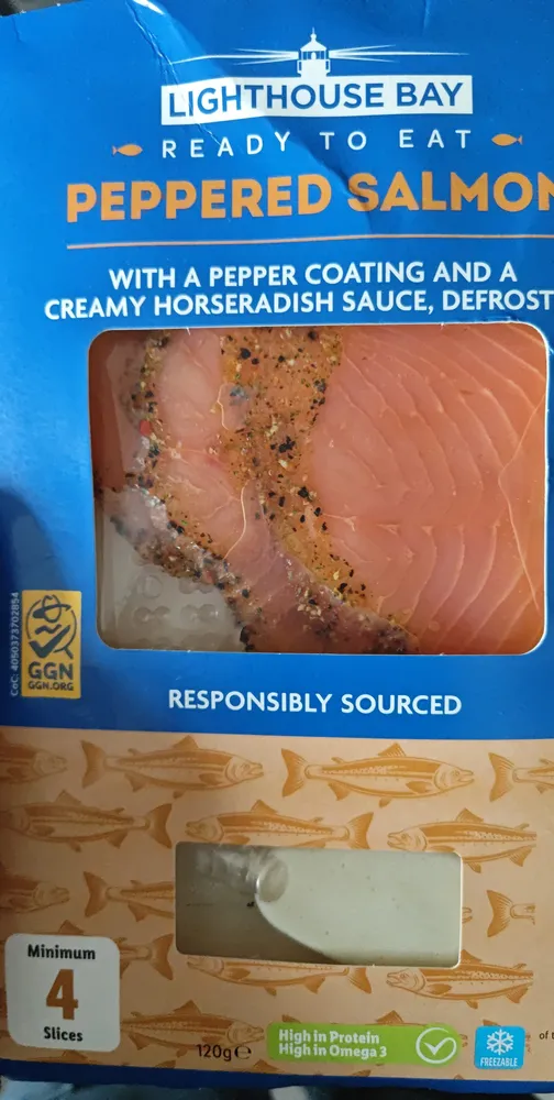 Salmon