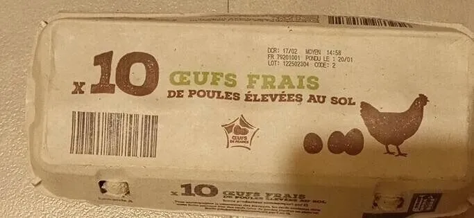 ŒUFS FRAIS DE POULES ÉLEVÉES AU SOL